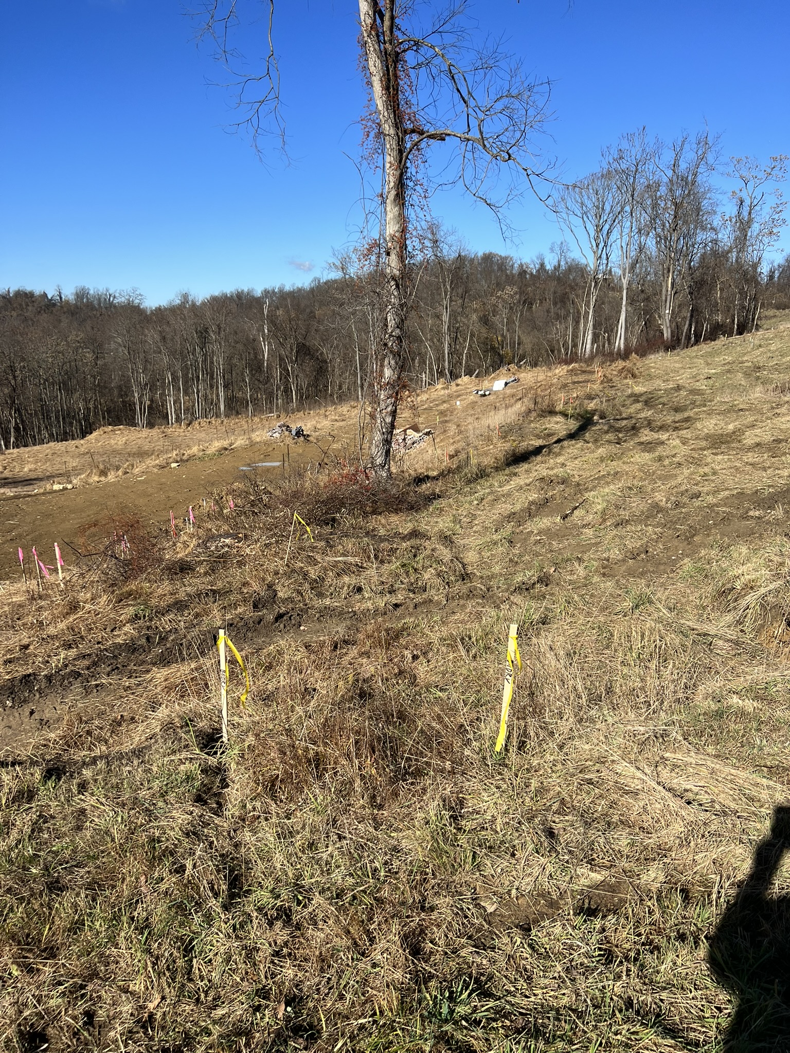 Slope and drainage area with yellow and pink stakes