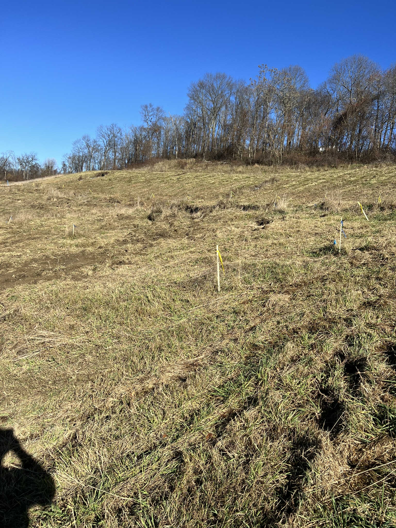 Gravel road edge with seeded slopes and pink stake erosion control line
